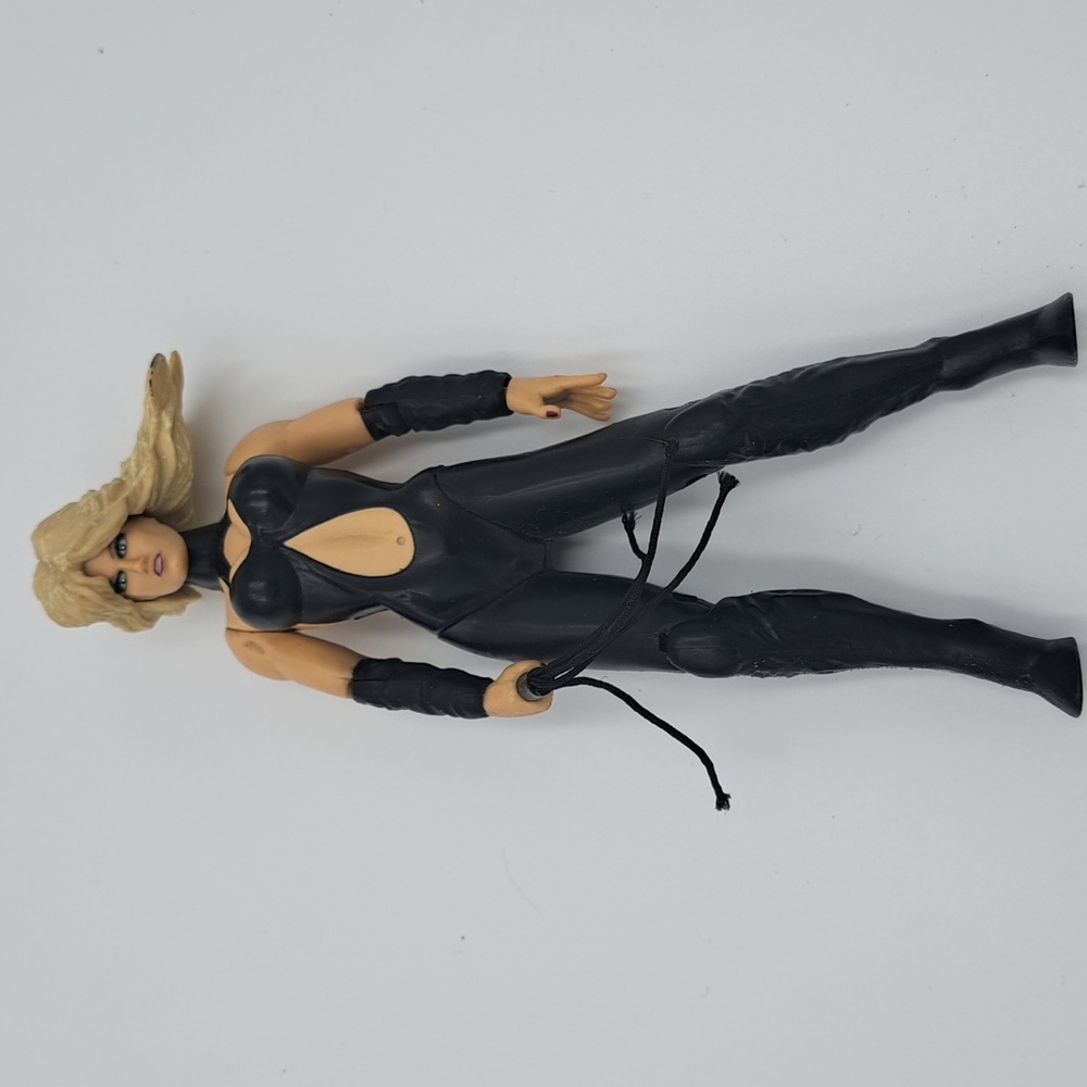 1998 Jakks Pacific WWF Ripped And Ruthless Sable Figure
